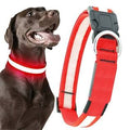 LED Dog Collar