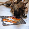 Pet Lick Mat