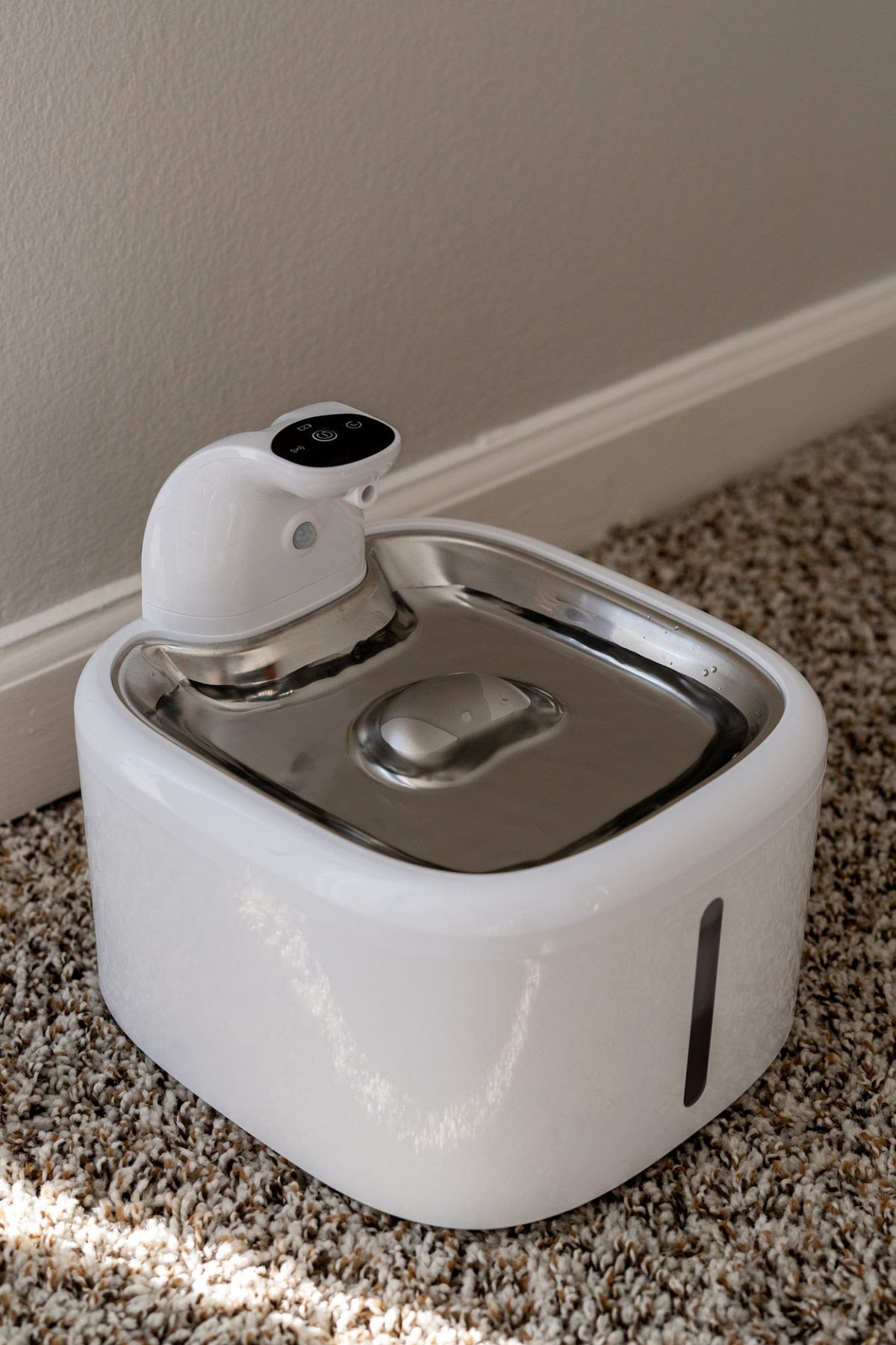 Ultra-Quiet Stainless Steel Automatic Pet Water Fountain